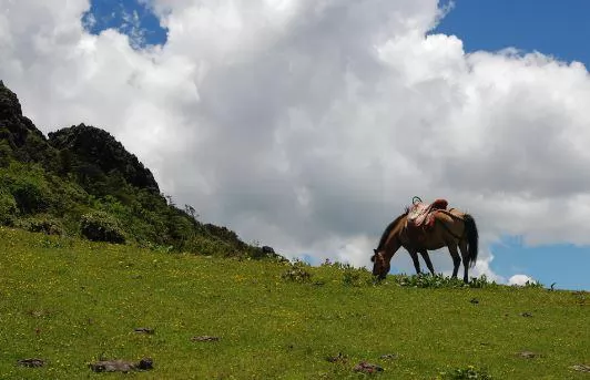 ԱԵʶҹò